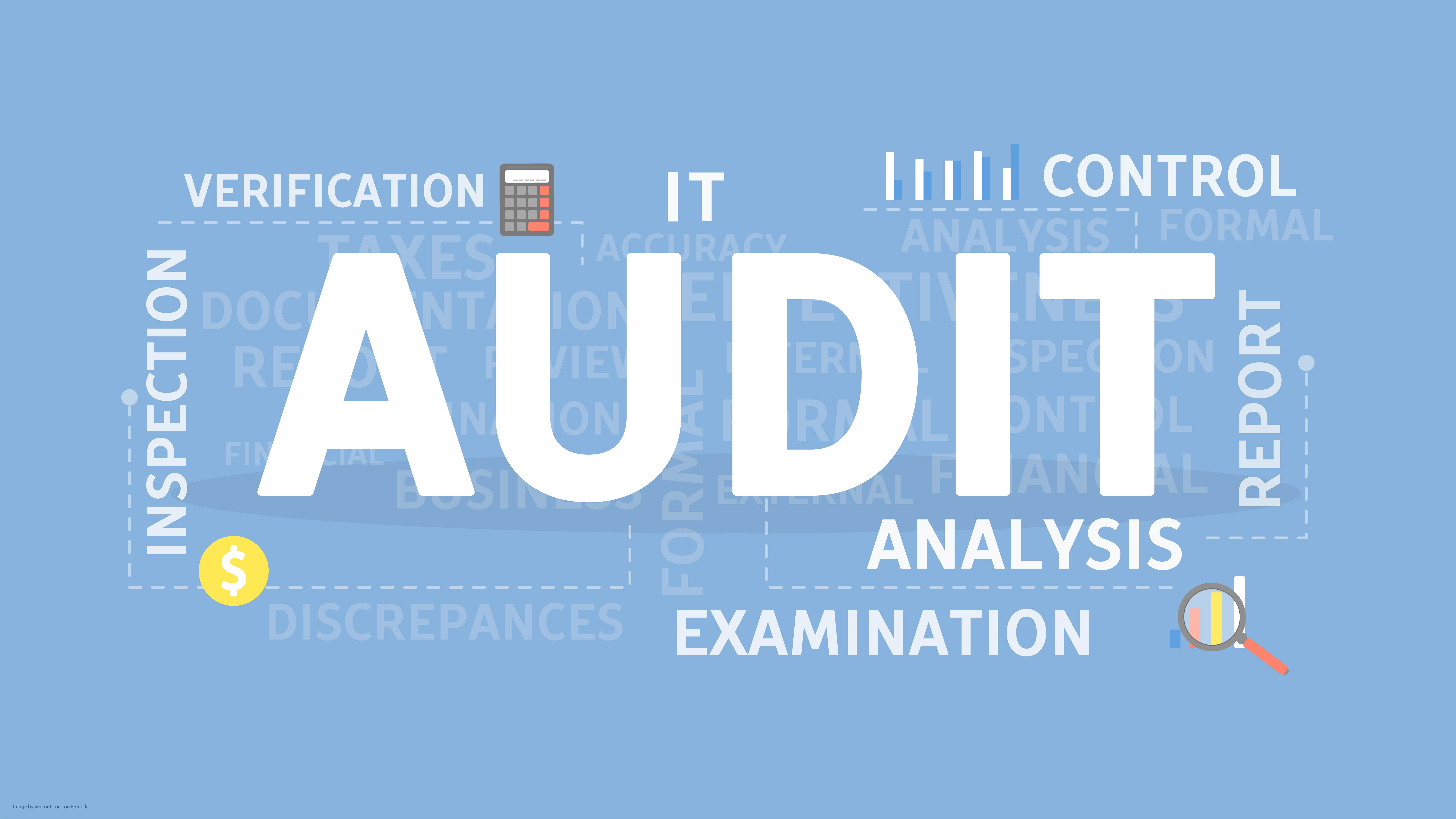 Cybersecurity Audit Services