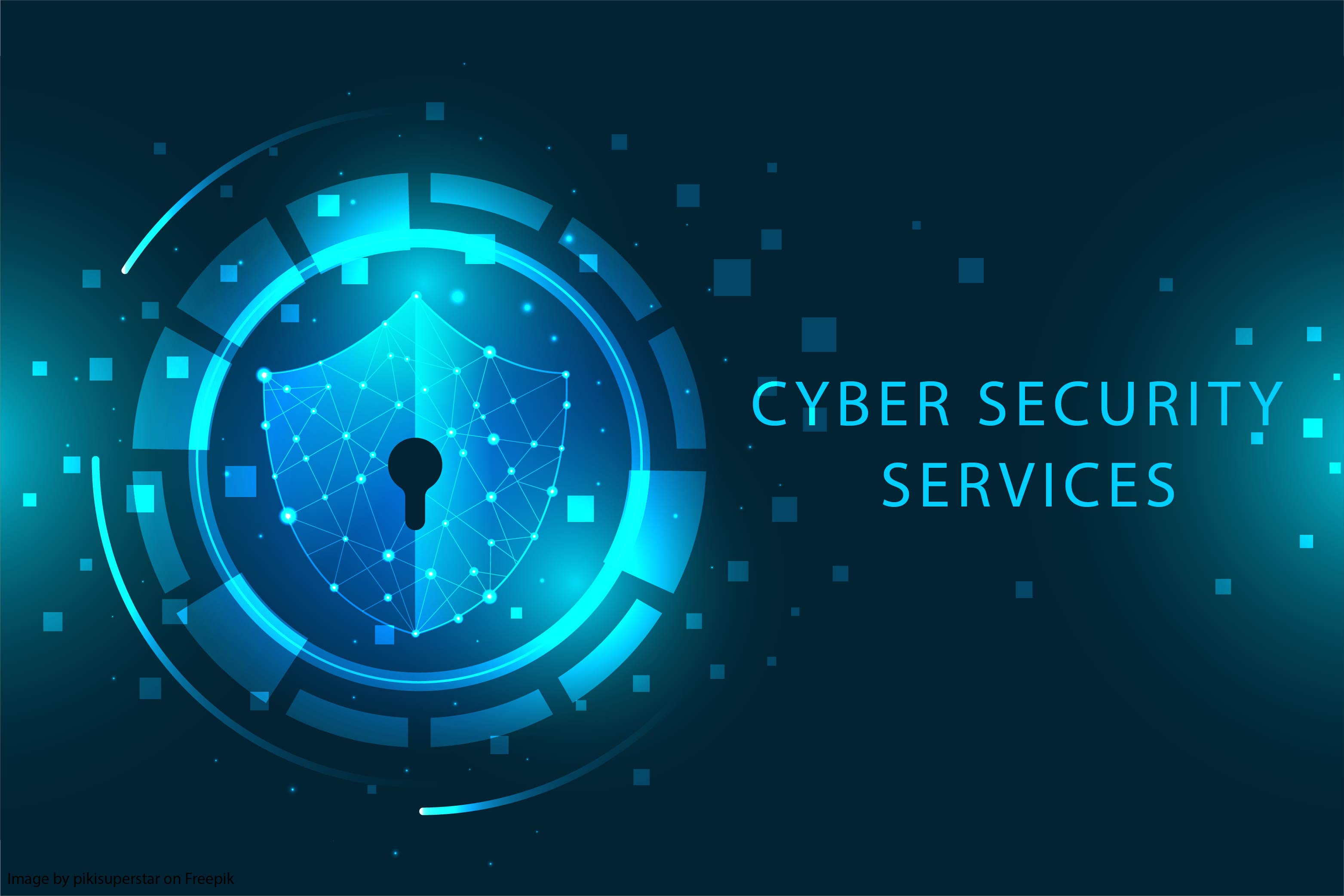 Cyber Security Services